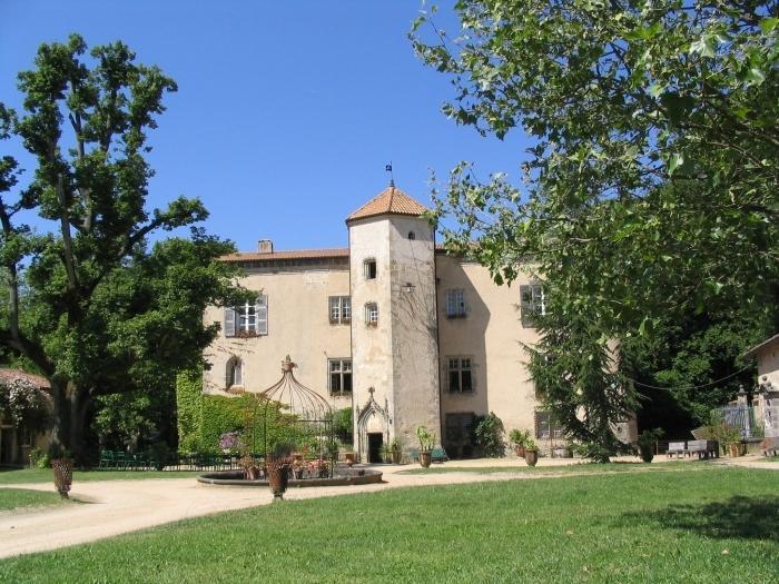 Chateau De La Chassaigne Lägenhet Thiers Rum bild